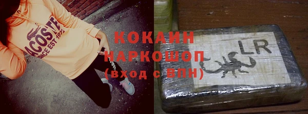 хмурый Инсар