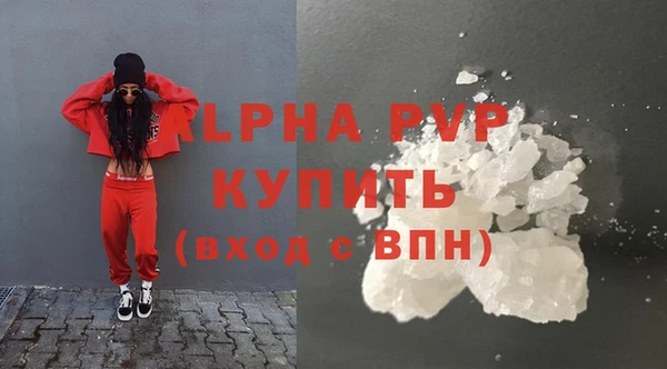 прущие грибы Каменка