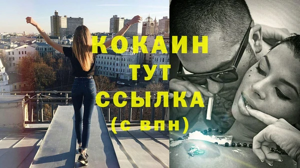 хмурый Инсар