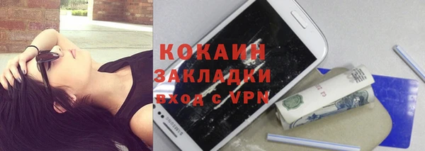 хмурый Инсар