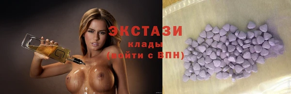 хмурый Инсар