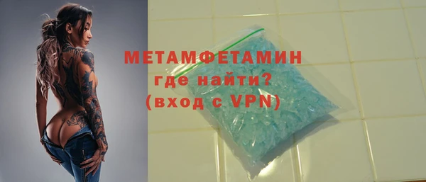 прущие грибы Каменка