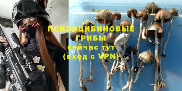 стаф Иннополис