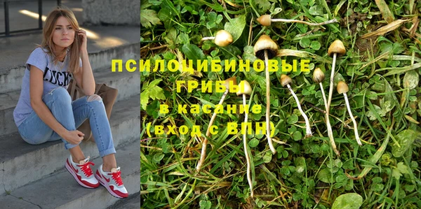 соль ск Инта