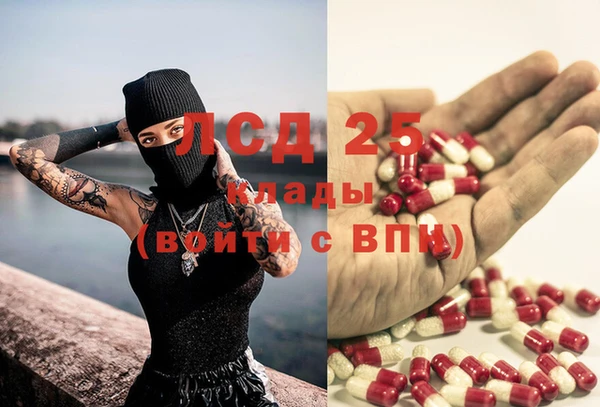 стаф Иннополис