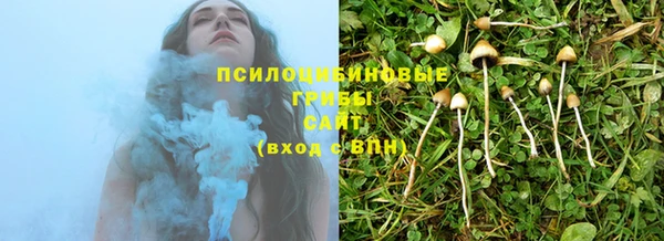 шишки Кострома