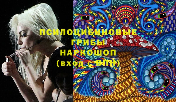 соль ск Инта