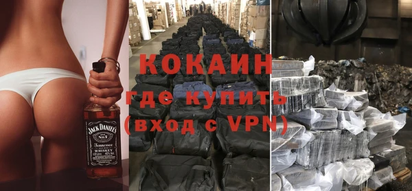 прущие грибы Каменка