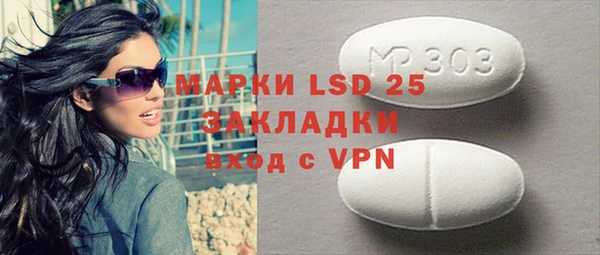 хмурый Инсар