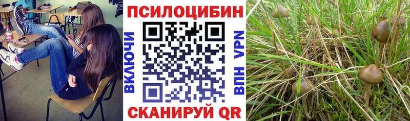 как найти наркотики Кандалакша Галлюциногенные грибы MAGIC MUSHROOMS