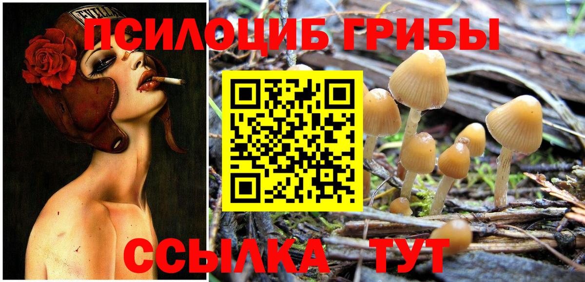 Псилоцибиновые грибы Magic Shrooms  Вход с VPN  Псилоцибиновые грибы Cubensis  Кандалакша 